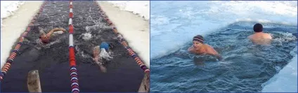 Сайт про плавання зимове плавання або моржування (моржування) Сайт про плавання зимове плавання або моржування