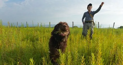 З чого починається одна з давніх традицій в Абхазії - яструбина полювання (полювання) З чого починається одна з давніх традицій в Абхазії - яструбина полювання