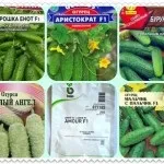 Насіння огірків для засолювання самозапильних надійні сорти (огірки самозапильних сорти для засолювання) Насіння огірків для засолювання самозапильних надійні сорти