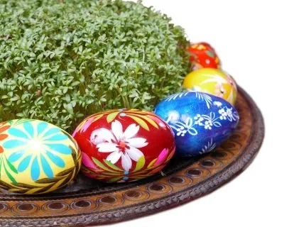 Селам мову квітів