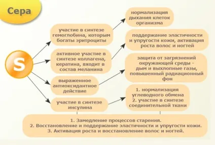 Сірка (s, sulphur) - вплив на організм, користь і шкода, опис (sulphur) Сірка (s, sulphur) - вплив на організм, користь і шкода, опис