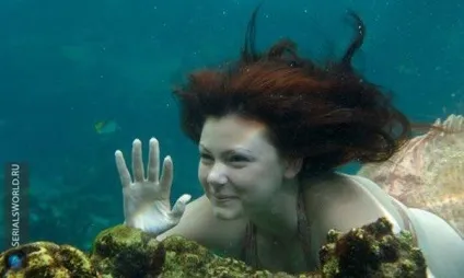 Шарлотта з серіалу h2o - просто додай води, русалки (серіал Н2О просто додай води) Шарлотта з серіалу h2o - просто додай води, русалки
