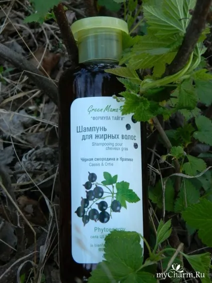 Шампунь хороший, але програє іншому - green mama шампунь для жирного волосся чорна смородина і (шампунь) Шампунь хороший, але програє іншому - green mama шампунь для жирного волосся чорна смородина і