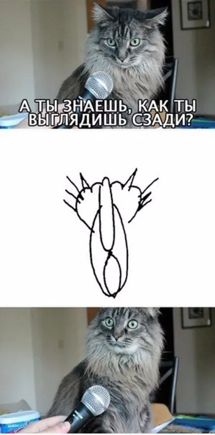 Шедевр путина «кішка