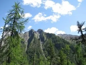 Шумакскіе джерела