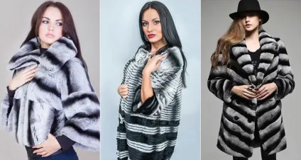 Шуби з кролика рекс, ціна, фото, відгуки (рекс) Шуби з кролика рекс, ціна, фото, відгуки