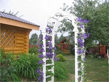 Шпалера на дачі, як зробити своїми руками, корисні поради (шпалера) Шпалера на дачі, як зробити своїми руками, корисні поради