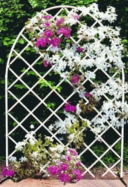 Шпалера на дачі, як зробити своїми руками, корисні поради (зробити) Шпалера на дачі, як зробити своїми руками, корисні поради