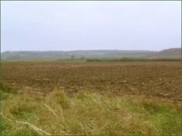 Система відкритих полів