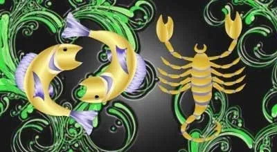 Скорпіон і риби сумісність і все для жінок (скорпіон) Скорпіон і риби сумісність і все для жінок