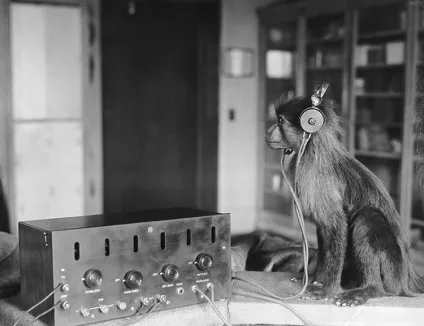 Символ мавпи в культурах народів, про-берег (народів) Символ мавпи в культурах народів, про-берег