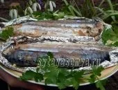 Скумбрія в фользі на багатті покроковий рецепт з фото (скумбрія фользі багатті) Скумбрія в фользі на багатті покроковий рецепт з фото