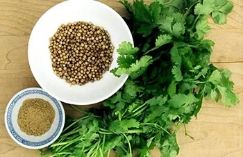 Поєднання прянощів з грибами (грибами) Поєднання прянощів з грибами