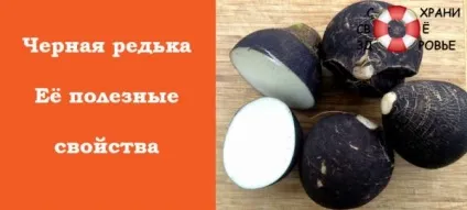 Курдюк баранячий користь і шкода (баранячий) Курдюк баранячий користь і шкода