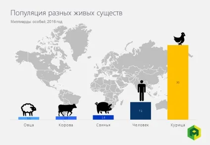 Курячі таємниці 5 речей, яких ви не знали про цих домашніх птахів (цих) Курячі таємниці 5 речей, яких ви не знали про цих домашніх птахів