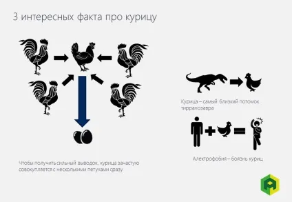 Курячі таємниці 5 речей, яких ви не знали про цих домашніх птахів (цих) Курячі таємниці 5 речей, яких ви не знали про цих домашніх птахів