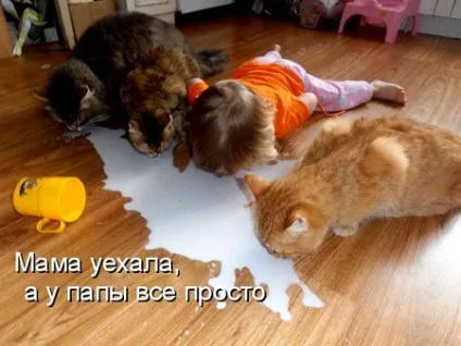 Куряче філе в клярі