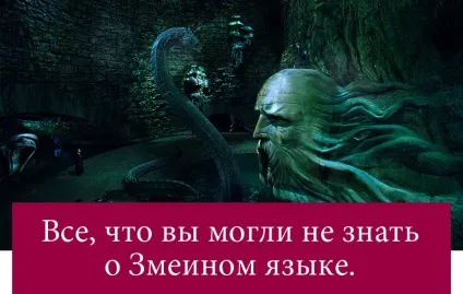 Все, що ви могли не знати про парселмовою (Роулінг) Все, що ви могли не знати про парселмовою