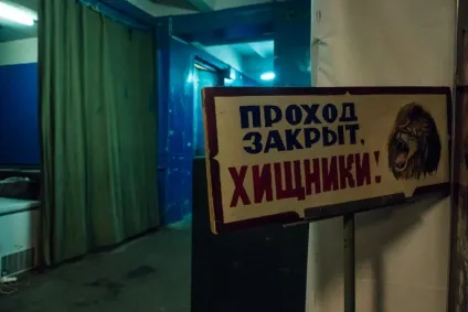 Вся правда про дресирування тварин в цирку