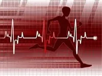 Соматотип і заняття спортом, як визначити соматотип людини (спортом) Соматотип і заняття спортом, як визначити соматотип людини