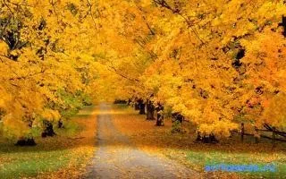 Сонник осінь, тлумачення сну осінь, до чого сниться і що означає сон, в якому наснилося осінь (означає) Сонник осінь, тлумачення сну осінь, до чого сниться і що означає сон, в якому наснилося осінь