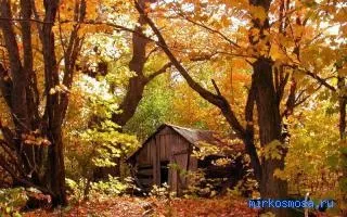 Сонник осінь, тлумачення сну осінь, до чого сниться і що означає сон, в якому наснилося осінь (чого) Сонник осінь, тлумачення сну осінь, до чого сниться і що означає сон, в якому наснилося осінь