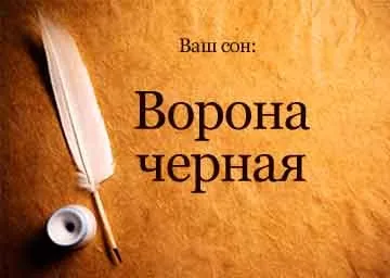 Сонник ворона чорна до чого сниться ворона чорна бачити уві сні