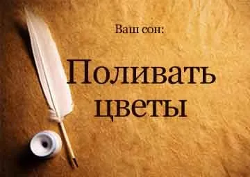 Сонник поливати квіти кімнатні в горщиках уві сні бачити до чого сниться (поливати) Сонник поливати квіти кімнатні в горщиках уві сні бачити до чого сниться