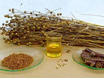 Сіль і масло проти остеохондрозу лікування морською сіллю і маслами