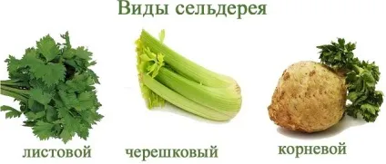 Сік селери для особи