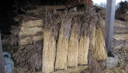 Солом'яний дах своїми руками фото, відео (руками) Солом'яний дах своїми руками фото, відео