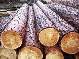 Союз платників традиції і технології (традиції) Союз платників традиції і технології