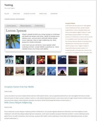 Створюємо круті сторінки рубрик в wordpress, все про wordpress