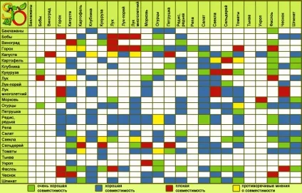 Сумісність овочевих культур при посадці в теплиці полікарбонат суміщений, таблиця вирощування, (овочевих) Сумісність овочевих культур при посадці в теплиці полікарбонат суміщений, таблиця вирощування,