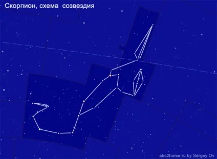 Сузір'я скорпіон, scorpius, десятий сузір'я зодіакальною групи (скорпіон) Сузір'я скорпіон, scorpius, десятий сузір'я зодіакальною групи