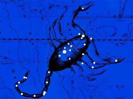 Сузір'я скорпіон, scorpius, десятий сузір'я зодіакальною групи (сузір'я скорпіон) Сузір'я скорпіон, scorpius, десятий сузір'я зодіакальною групи