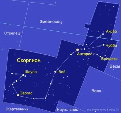 Сузір'я скорпіон, scorpius, десятий сузір'я зодіакальною групи (скорпіон) Сузір'я скорпіон, scorpius, десятий сузір'я зодіакальною групи