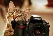 Статті про фотографію як почати бізнес в фотографії без грошей (фотографії) Статті про фотографію як почати бізнес в фотографії без грошей