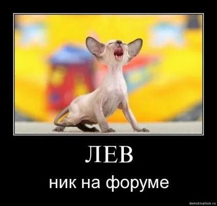 Чи варто міняти нік якщо він не подобається багатьом користувачам (інтернет) Чи варто міняти нік якщо він не подобається багатьом користувачам