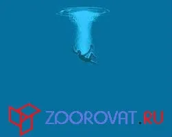 Страх глибини, портал про психологію і медицину (глибини) Страх глибини, портал про психологію і медицину