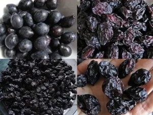 Сушка чорносливу своїми руками як в домашніх умовах просто приготувати чорнослив і варіанти (умовах) Сушка чорносливу своїми руками як в домашніх умовах просто приготувати чорнослив і варіанти