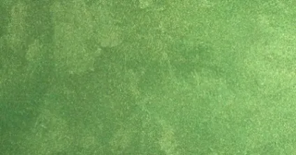 Stucco seta