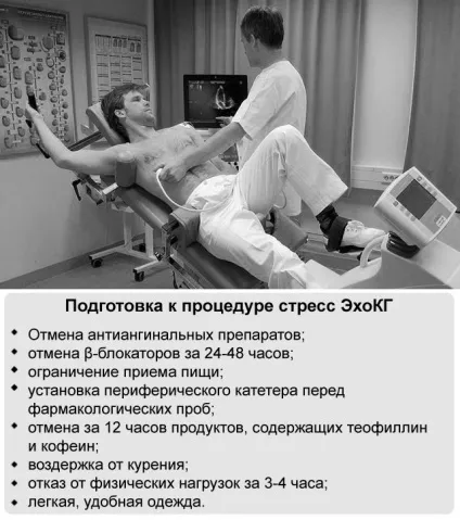 Стрес ехокардіографія що це таке, показання, види процедури (стрес) Стрес ехокардіографія що це таке, показання, види процедури
