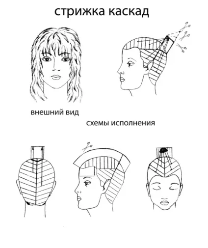 Стрижка - каскад види, особливості та техніка виконання (техніка) Стрижка - каскад види, особливості та техніка виконання
