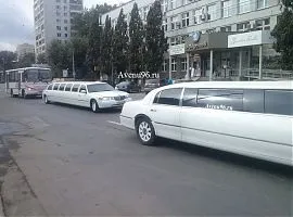 Весільний кортеж в Запоріжжі, автомобілі, кортеж авто на весілля, оформлення, оренда, замовити (авто) Весільний кортеж в Запоріжжі, автомобілі, кортеж авто на весілля, оформлення, оренда, замовити