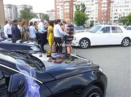 Весільний кортеж в Запоріжжі, автомобілі, кортеж авто на весілля, оформлення, оренда, замовити (кортеж) Весільний кортеж в Запоріжжі, автомобілі, кортеж авто на весілля, оформлення, оренда, замовити
