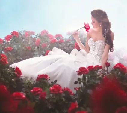 Весільні сукні в стилі дисней (Alfred Angelo створення) Весільні сукні в стилі дисней