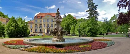 Вільний час в теплиці