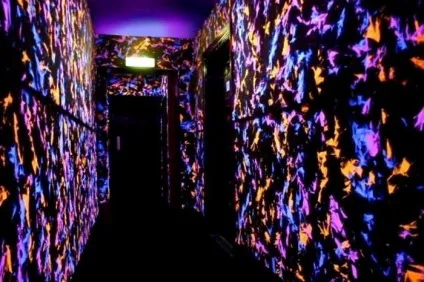 Фарби, що світяться яскраві і неймовірні варіанти оформлення кімнат (світяться) Фарби, що світяться яскраві і неймовірні варіанти оформлення кімнат