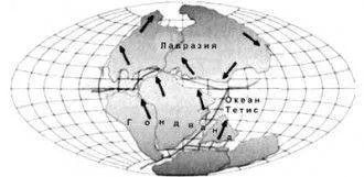 Теорія дрейфу материків Альфреда Вегенера (дрейфу материків була) Теорія дрейфу материків Альфреда Вегенера
